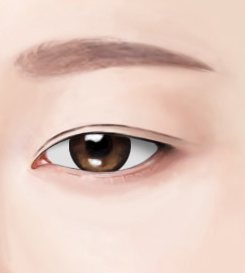 case 1 쌍꺼풀만 한 눈 그림