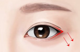 밑트임 도식 — 눈꼬리 아래쪽 빨간 선과 아래로 향한 화살표
